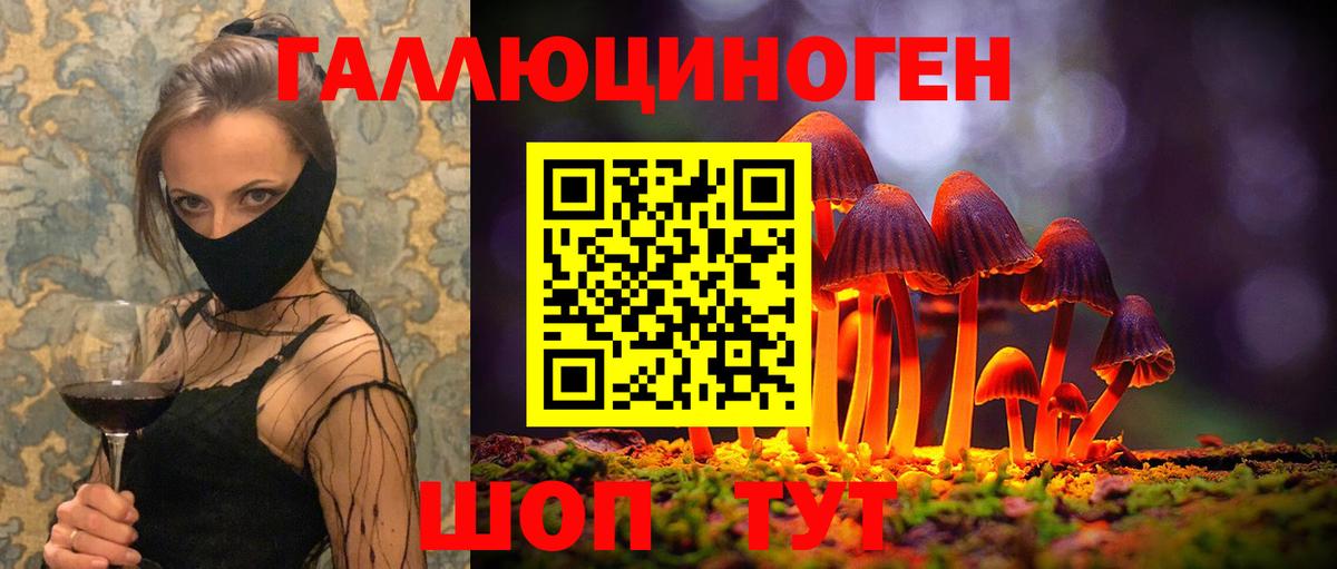 Тамбов  Галлюциногенные грибы прущие грибы  Вход с VPN 